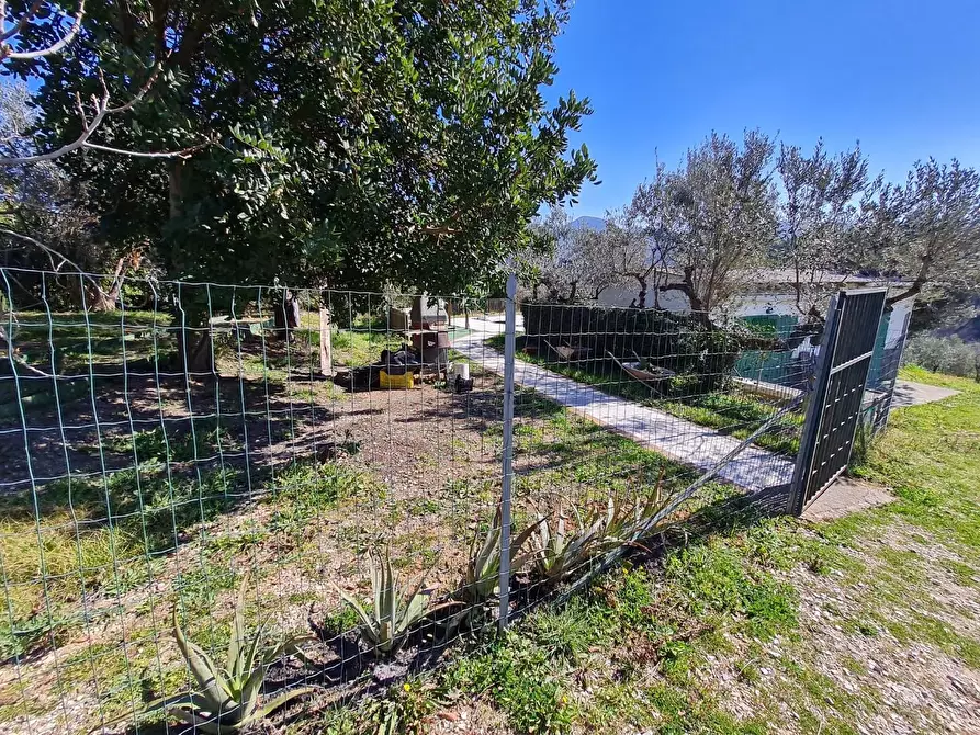 Immagine 24 di Casa colonica in vendita  a San Vincenzo