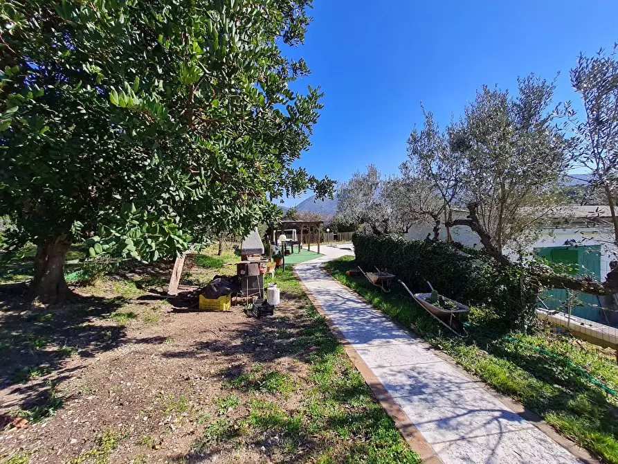 Immagine 25 di Casa colonica in vendita  a San Vincenzo