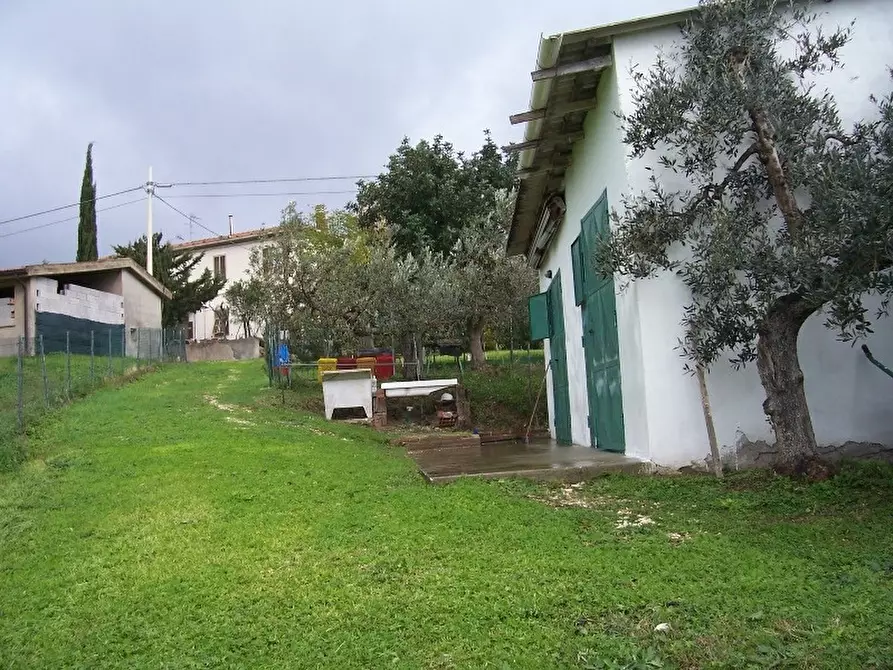 Immagine 19 di Casa colonica in vendita  a San Vincenzo