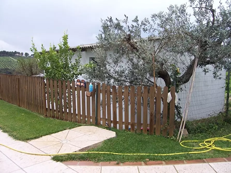 Immagine 21 di Casa colonica in vendita  a San Vincenzo