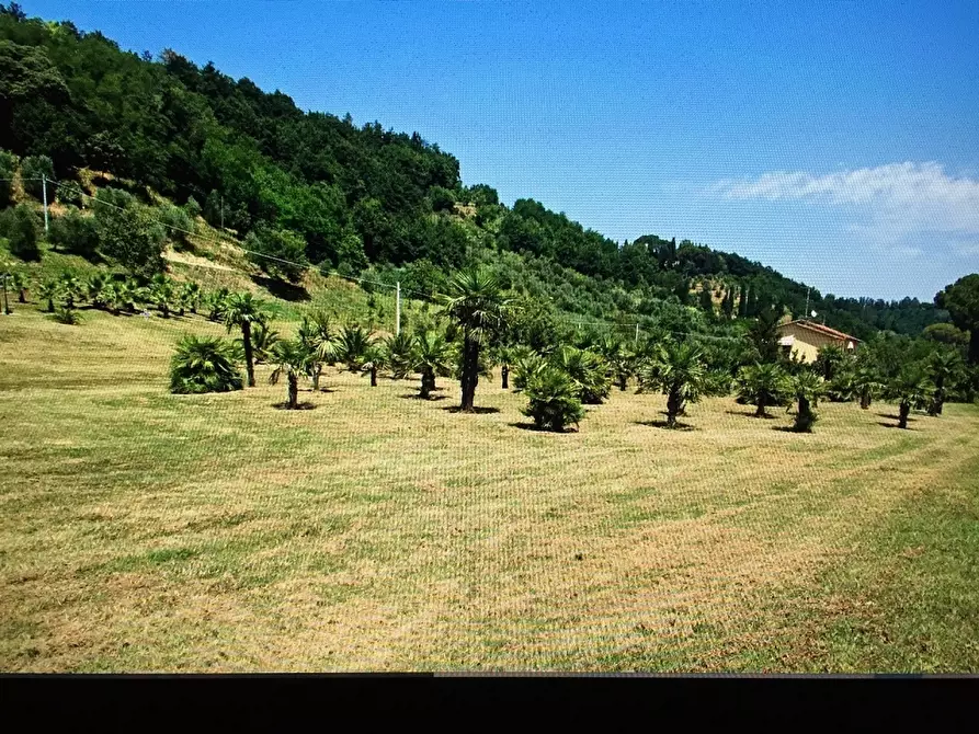Immagine 10 di Rustico / casale in vendita  a Castelfranco Di Sotto