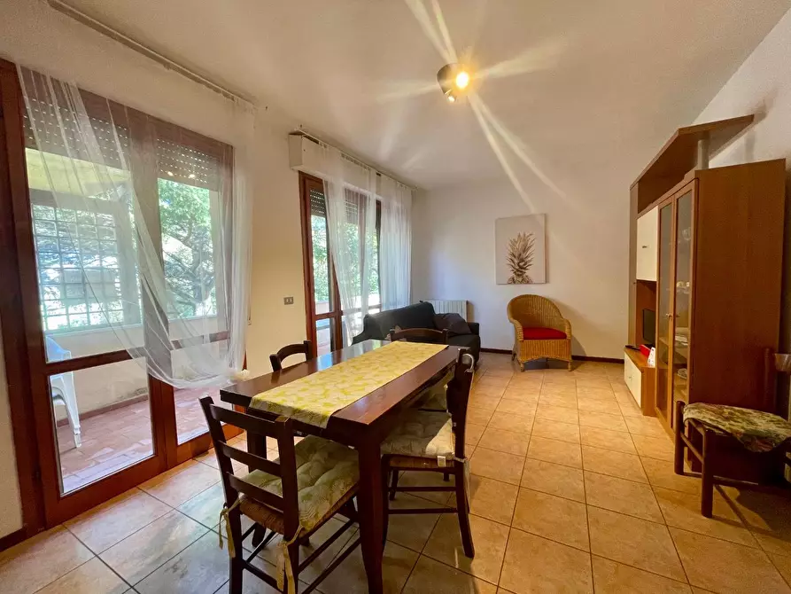 Immagine 1 di Appartamento in affitto  a Pisa