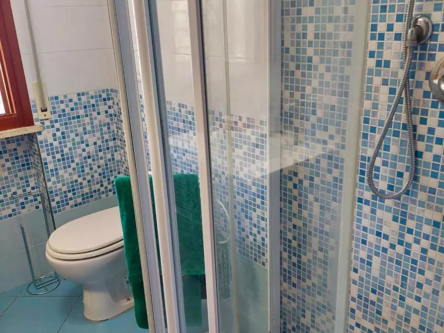 Immagine 12 di Appartamento in affitto  a Pisa