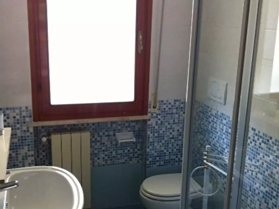 Immagine 12 di Appartamento in affitto  a Pisa