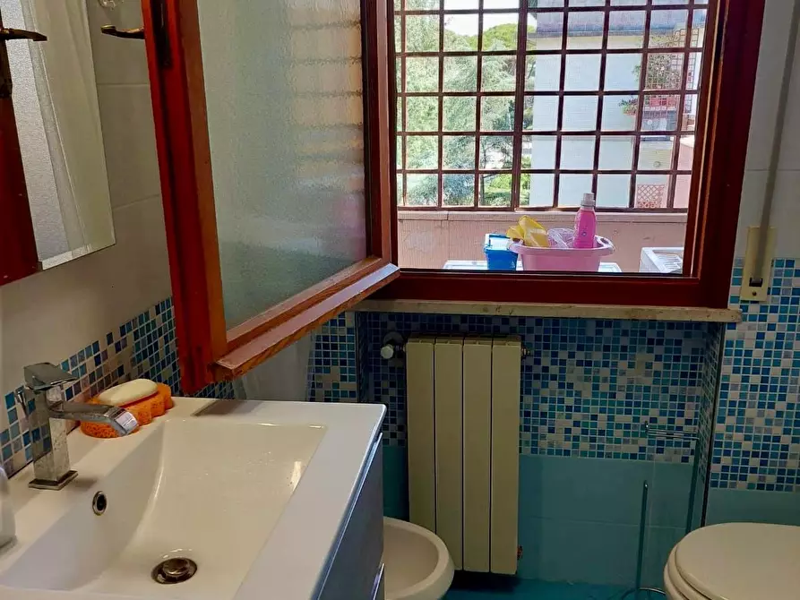 Immagine 10 di Appartamento in affitto  a Pisa