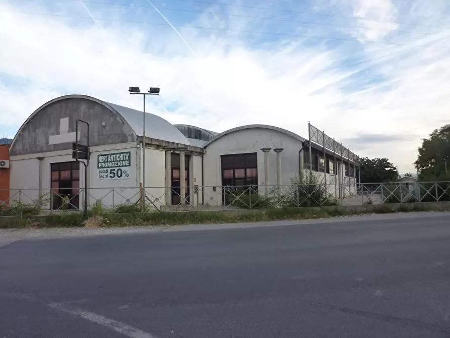 Immagine 1 di Capannone industriale in vendita  a Bientina