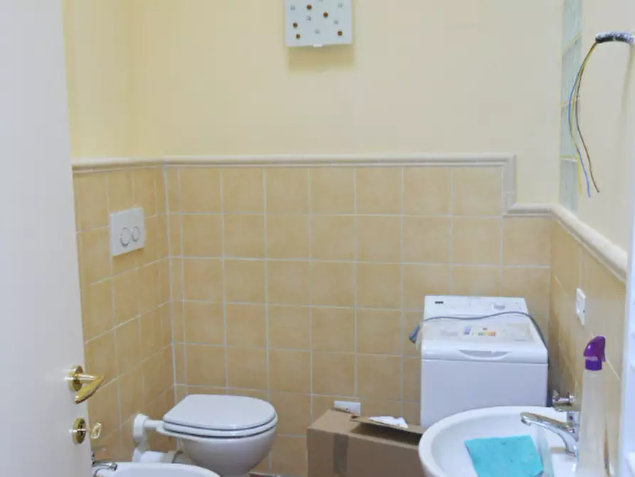 Immagine 4 di Appartamento in affitto  a Pisa