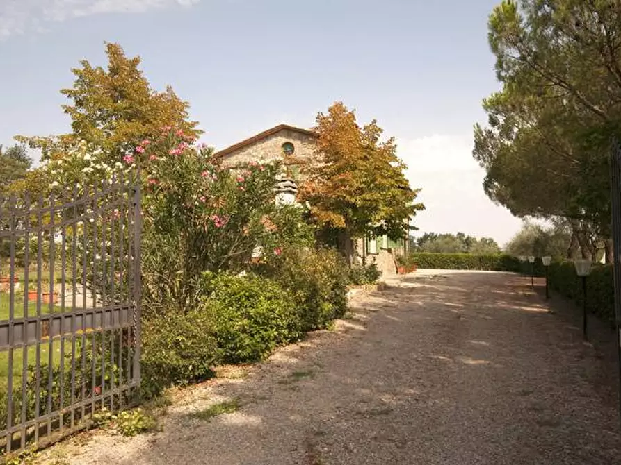 Immagine 7 di Casa colonica in vendita  a Cortona