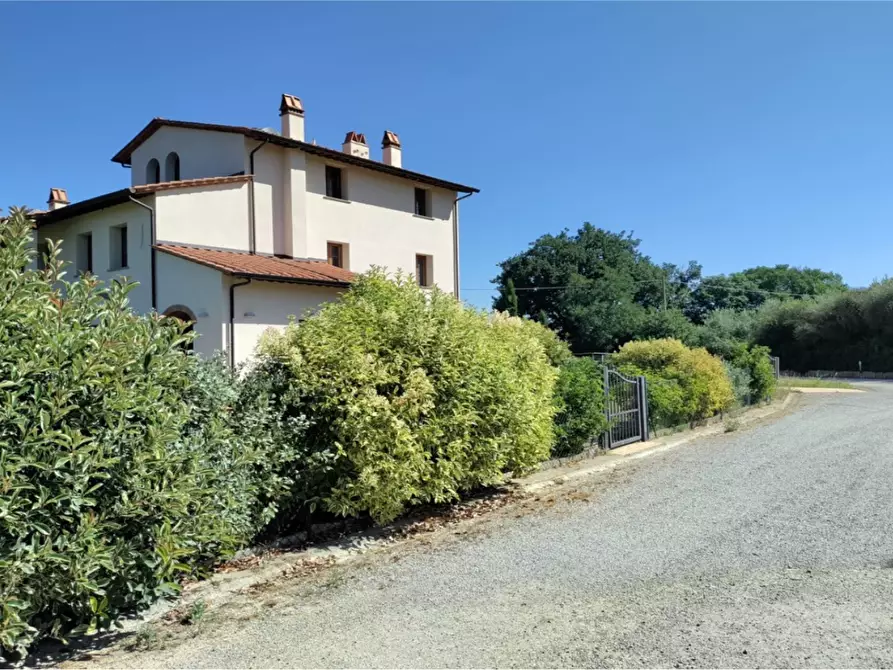 Immagine 3 di Terratetto in vendita  a San Miniato