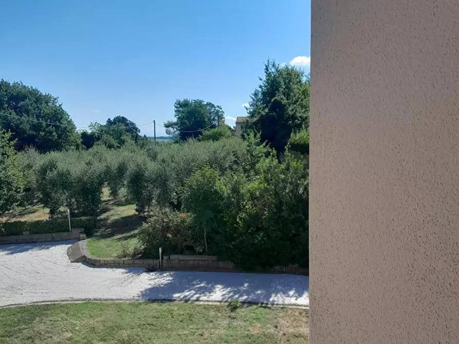 Immagine 14 di Terratetto in vendita  a San Miniato