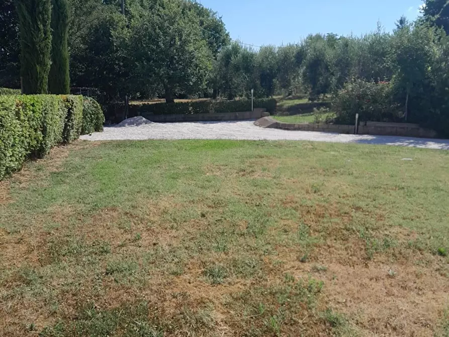 Immagine 12 di Terratetto in vendita  a San Miniato