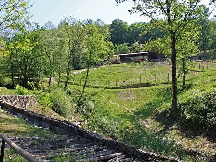 Immagine 19 di Casa colonica in vendita  a Licciana Nardi
