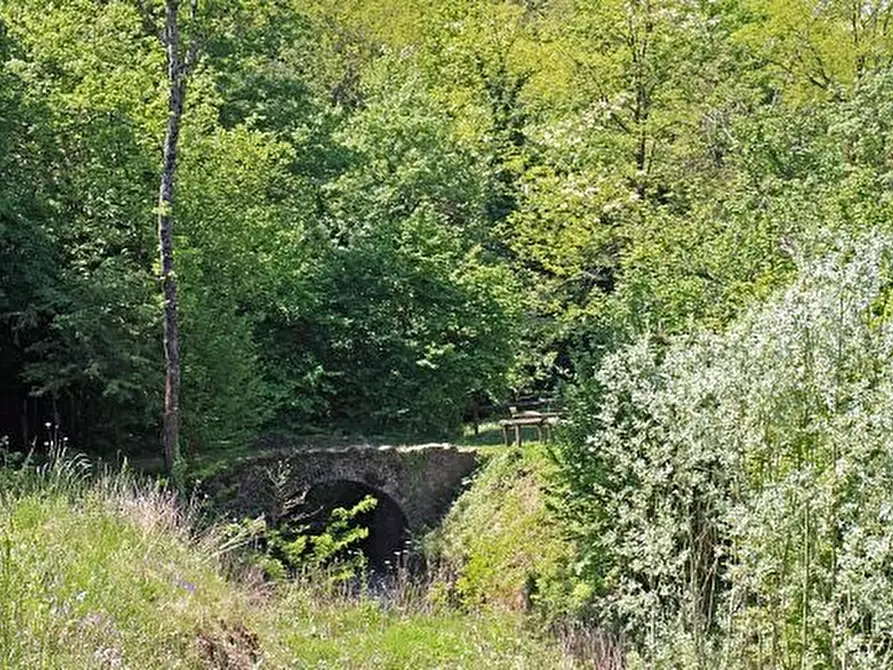 Immagine 17 di Casa colonica in vendita  a Licciana Nardi