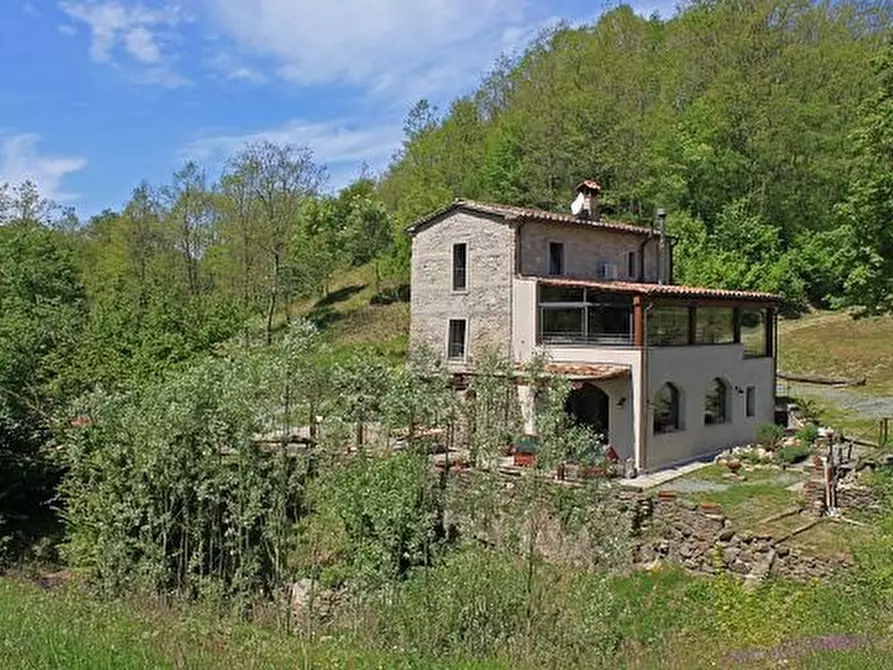 Immagine 15 di Casa colonica in vendita  a Licciana Nardi