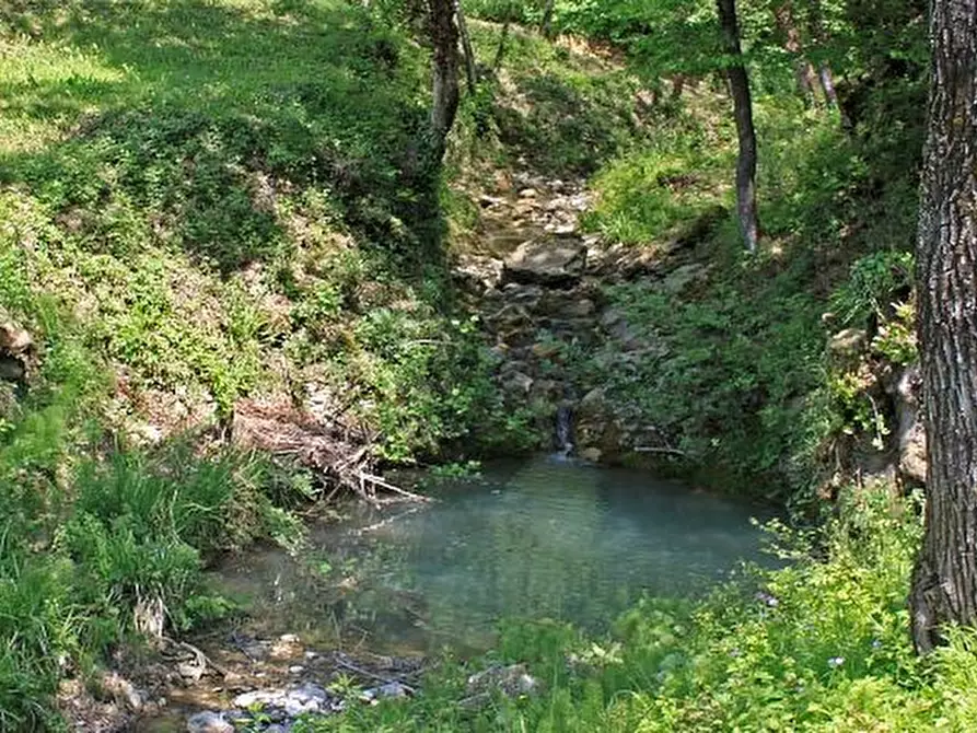 Immagine 18 di Casa colonica in vendita  a Licciana Nardi