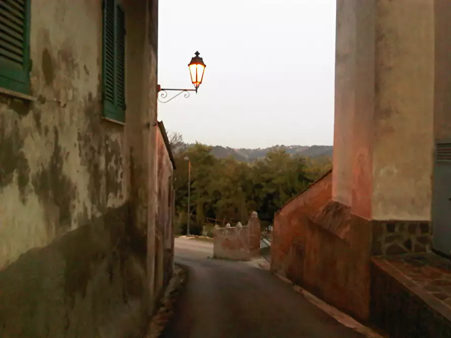 Immagine 3 di Appartamento in vendita  a Palaia