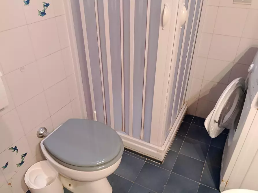 Immagine 15 di Appartamento in affitto  a Rosignano Marittimo