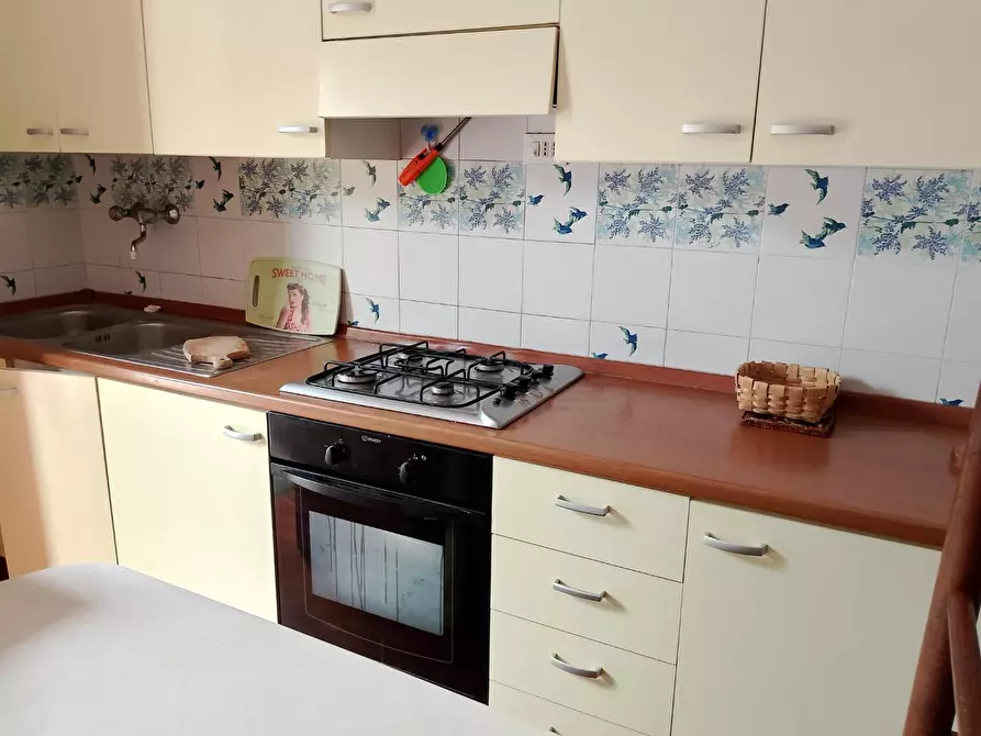 Immagine 2 di Appartamento in affitto  a Rosignano Marittimo