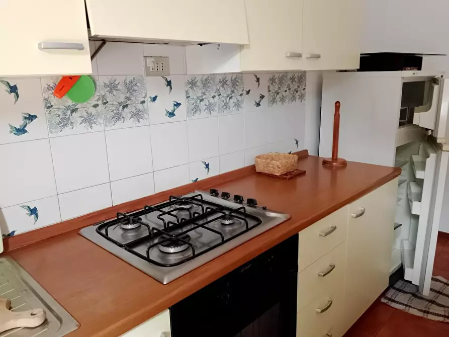 Immagine 3 di Appartamento in affitto  a Rosignano Marittimo