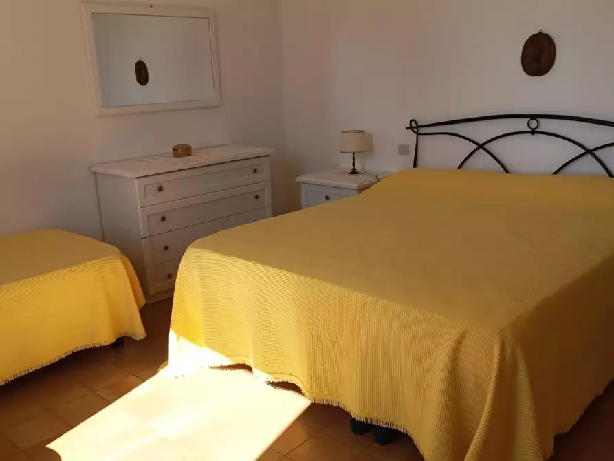 Immagine 12 di Appartamento in affitto  a Rosignano Marittimo