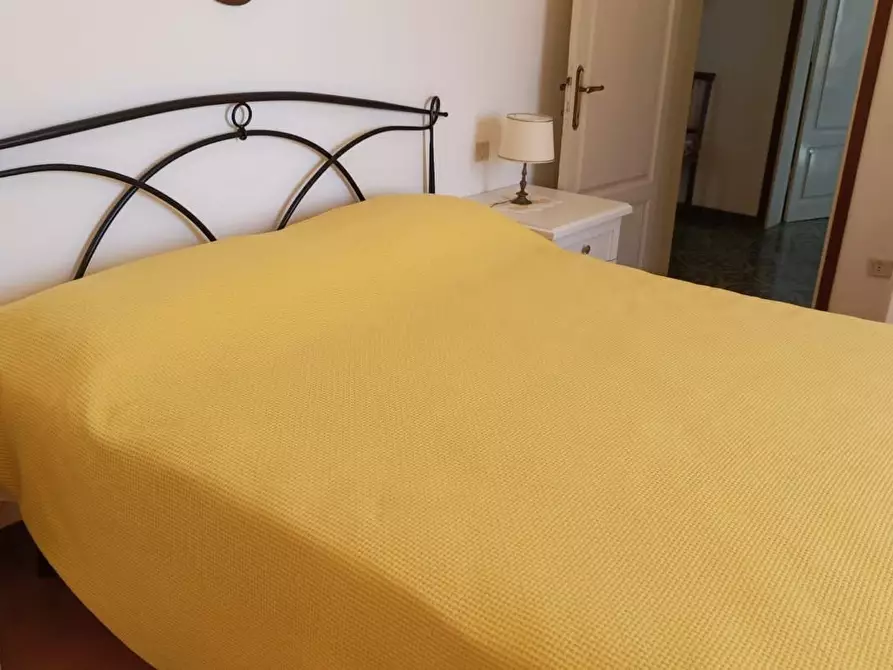 Immagine 11 di Appartamento in affitto  a Rosignano Marittimo