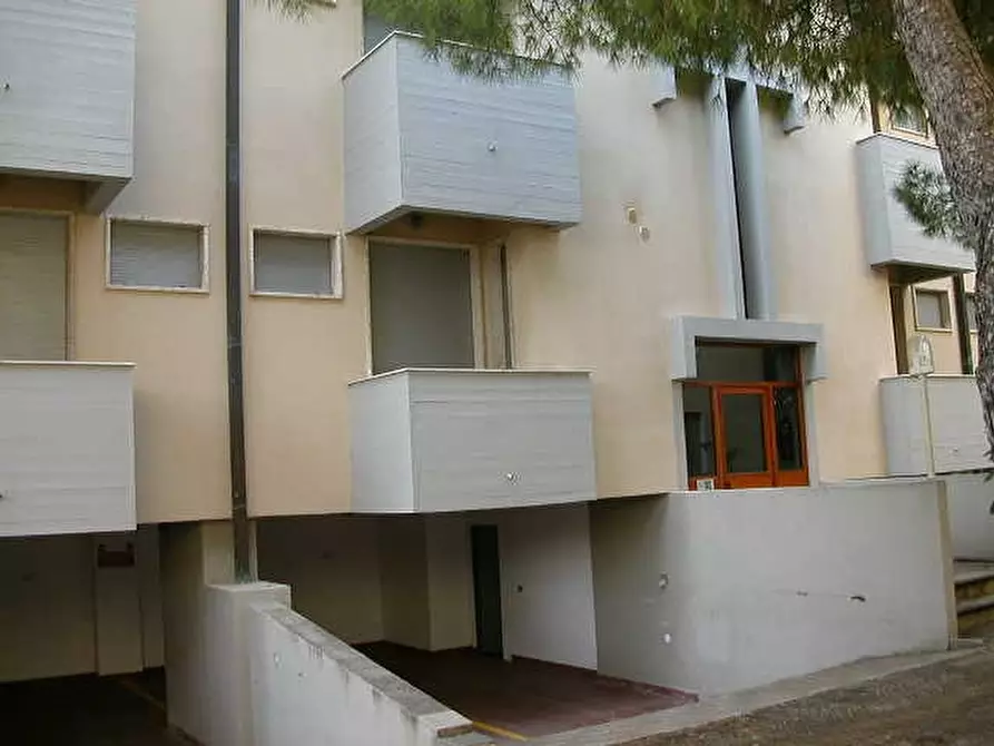 Immagine 3 di Appartamento in affitto  a Rosignano Marittimo