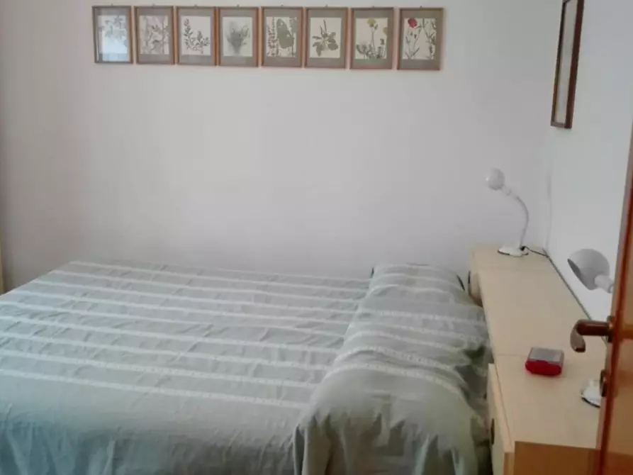 Immagine 10 di Appartamento in affitto  a Rosignano Marittimo