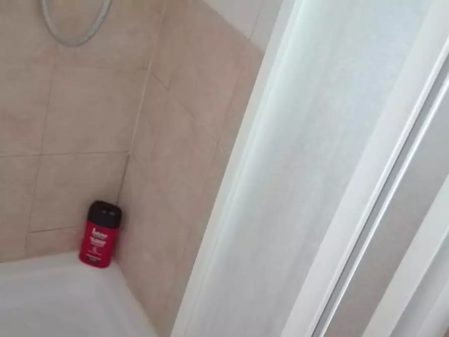 Immagine 16 di Appartamento in affitto  a Rosignano Marittimo