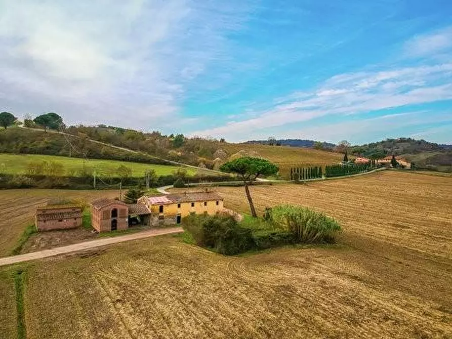 Immagine 25 di Casa colonica in vendita  a Montaione