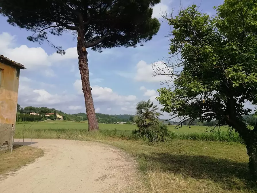 Immagine 37 di Casa colonica in vendita  a Montaione