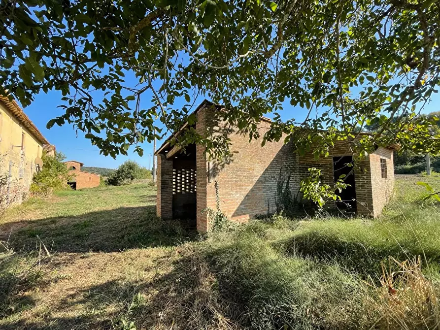 Immagine 48 di Casa colonica in vendita  a Montaione