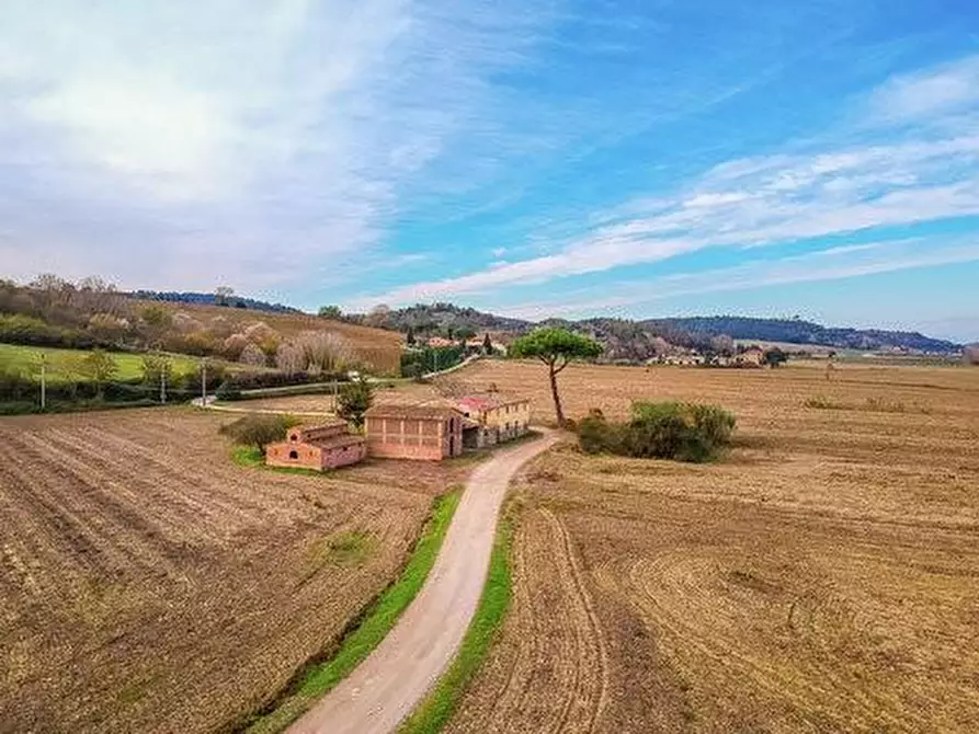 Immagine 29 di Casa colonica in vendita  a Montaione