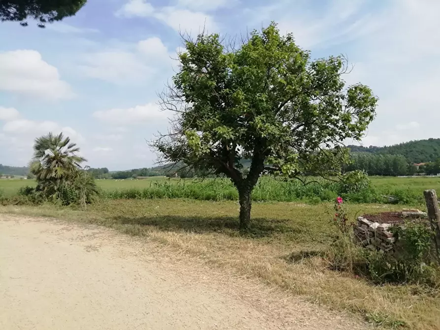 Immagine 36 di Casa colonica in vendita  a Montaione