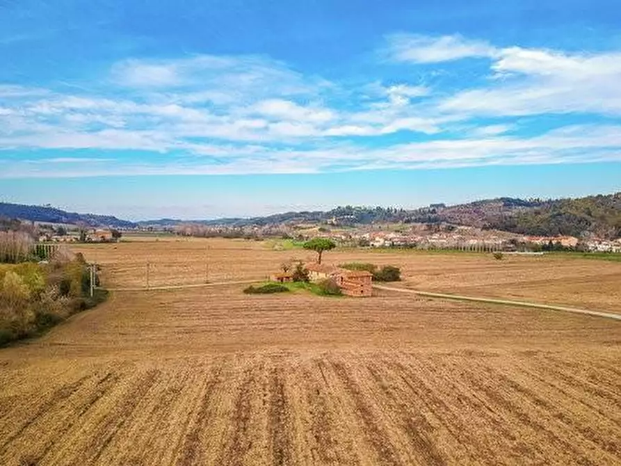 Immagine 7 di Casa colonica in vendita  a Montaione