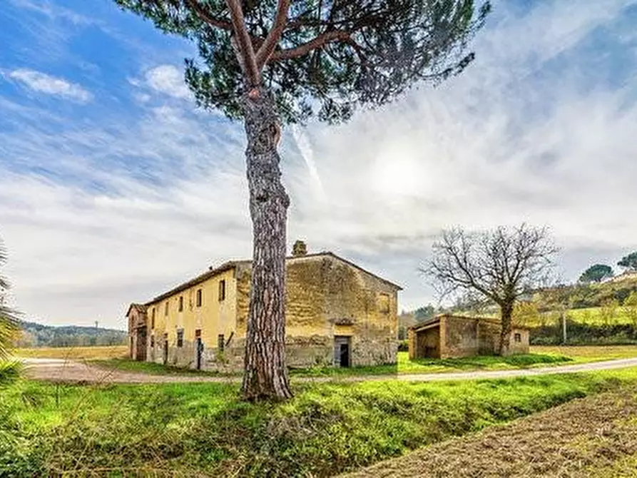 Immagine 19 di Casa colonica in vendita  a Montaione