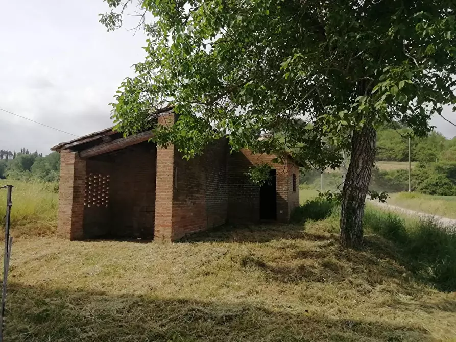 Immagine 43 di Casa colonica in vendita  a Montaione