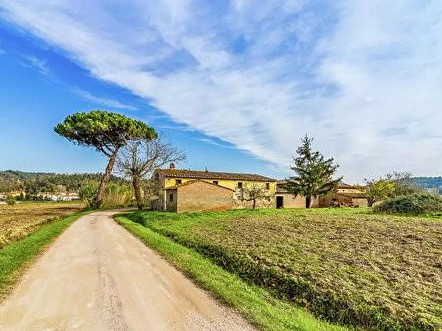 Immagine 32 di Casa colonica in vendita  a Montaione
