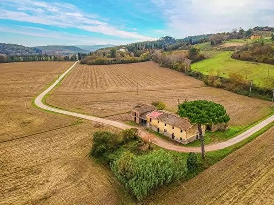 Immagine 3 di Casa colonica in vendita  a Montaione