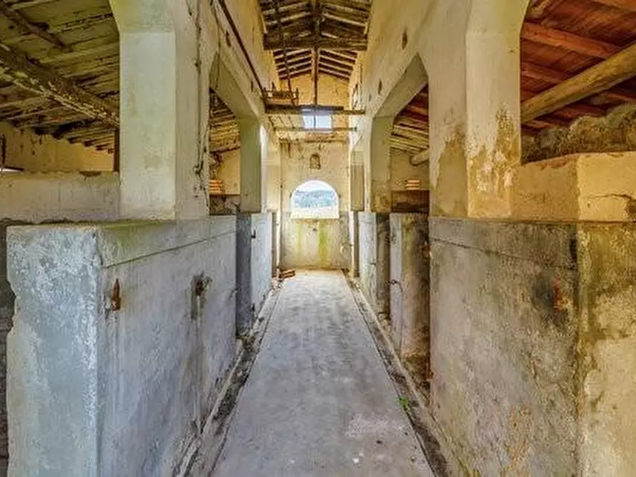 Immagine 17 di Casa colonica in vendita  a Montaione