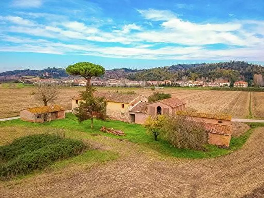 Immagine 1 di Azienda agricola in vendita  a Montaione