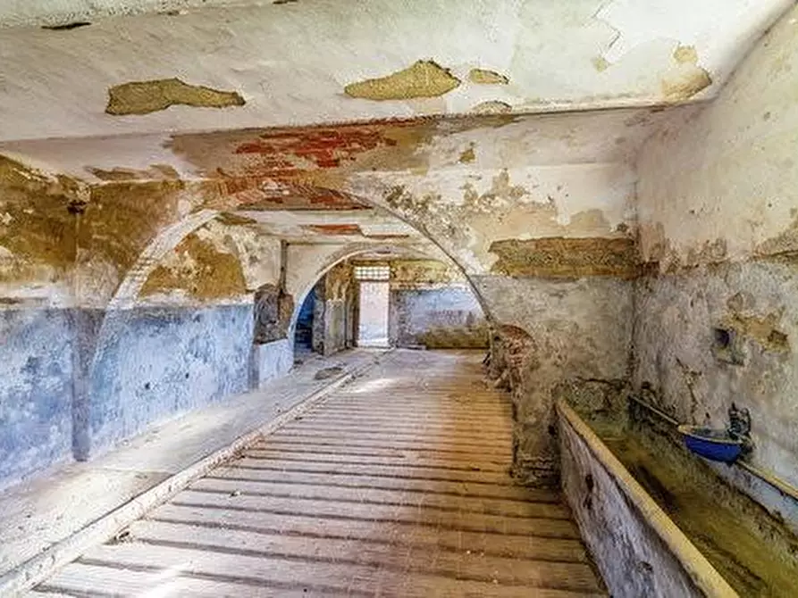 Immagine 35 di Casa colonica in vendita  a Montaione