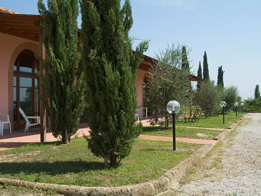 Immagine 5 di Agriturismo in vendita  a San Miniato