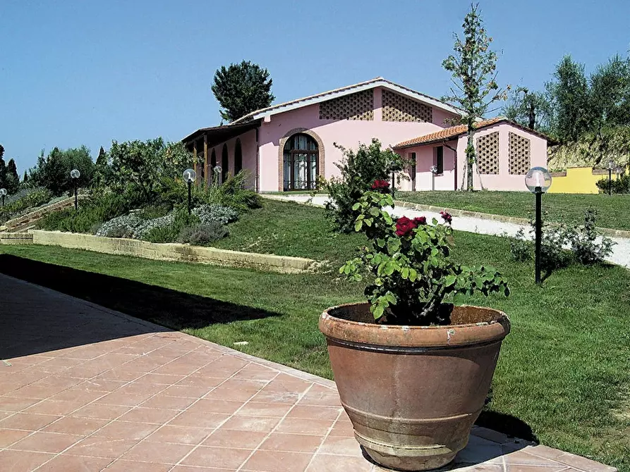 Immagine 3 di Agriturismo in vendita  a San Miniato