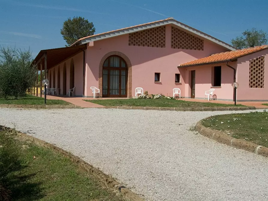 Immagine 11 di Agriturismo in vendita  a San Miniato