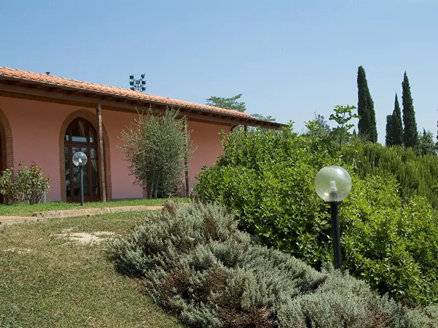 Immagine 13 di Agriturismo in vendita  a San Miniato