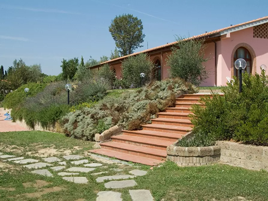 Immagine 8 di Agriturismo in vendita  a San Miniato