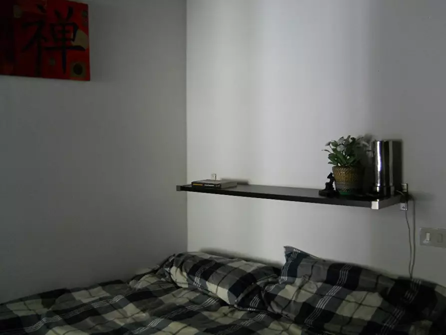 Immagine 17 di Appartamento in vendita  a San Giuliano Terme