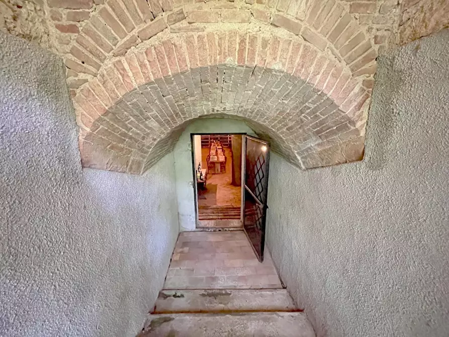 Immagine 13 di Villa in vendita  a Ponsacco