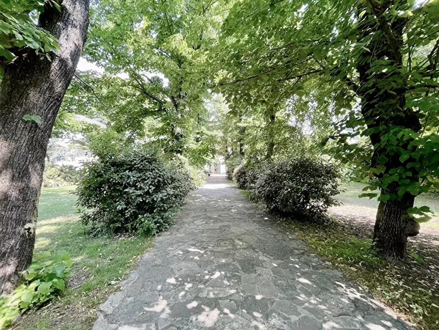 Immagine 3 di Villa in vendita  a Ponsacco