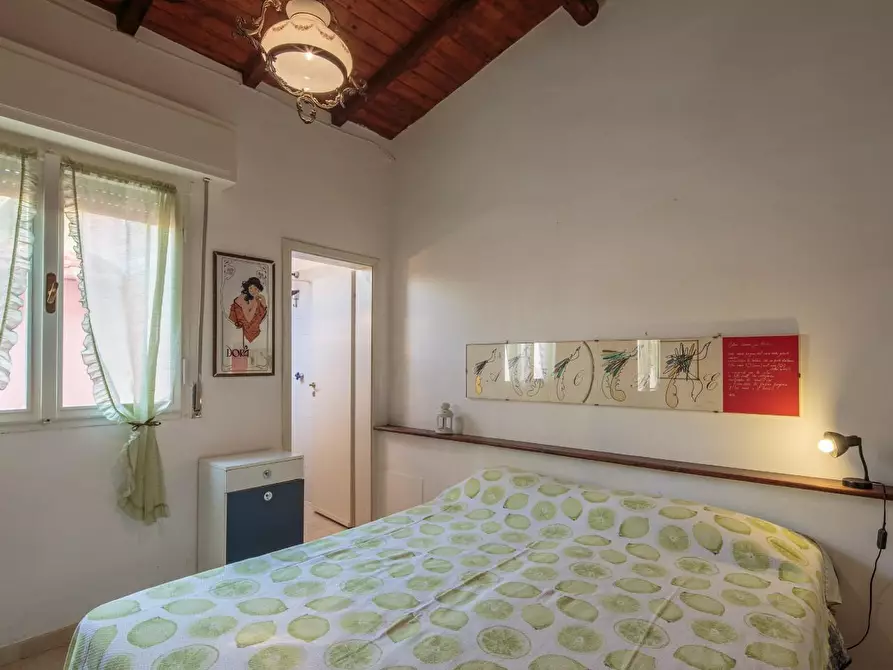 Immagine 6 di Villa in affitto  a Pisa